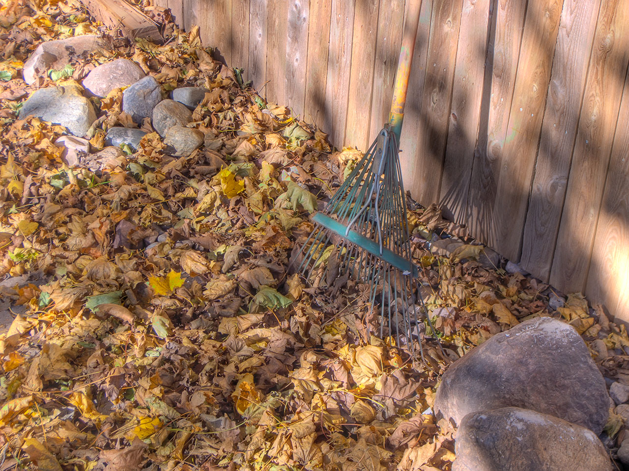 Herbstlaub als Gartenressource nutzen – Themenfoto